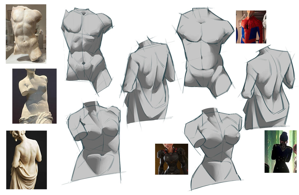 Torso Torso